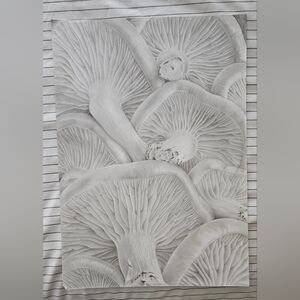 Mushroom Art Hand-drawn with pencil